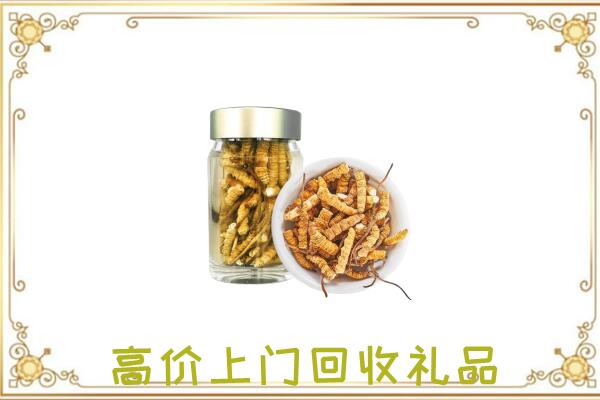 大庆周边回收虫草